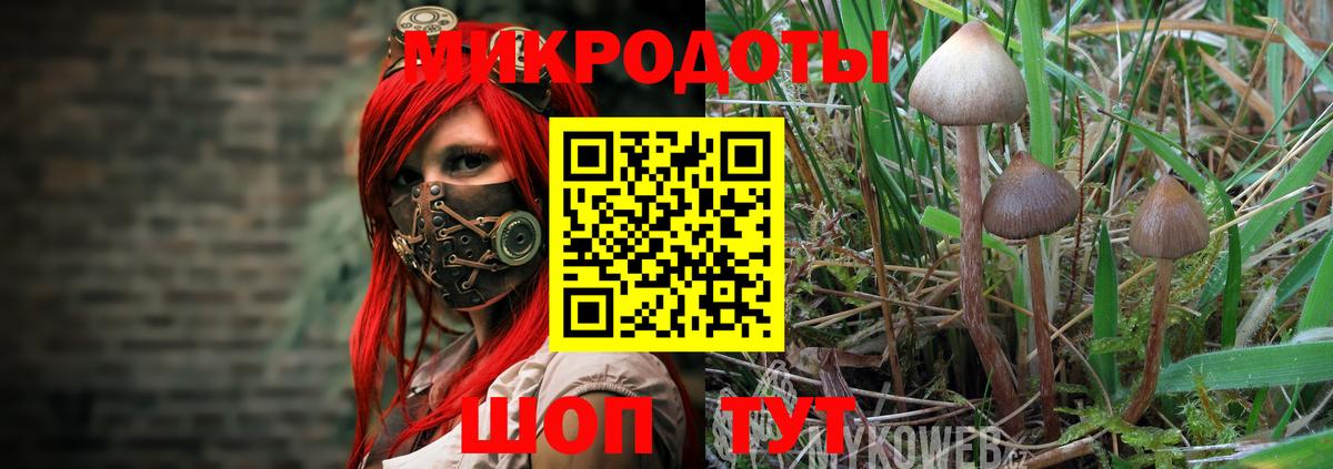 Губкин  Галлюциногенные грибы мухоморы  Галлюциногенные грибы ЛСД  Вход с VPN 