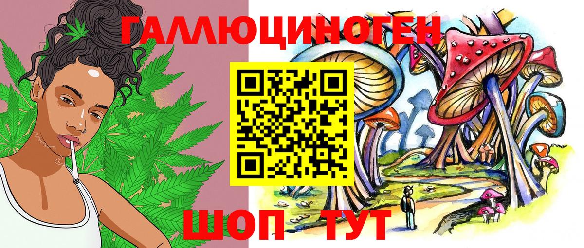 Псилоцибиновые грибы MAGIC MUSHROOMS Губкин